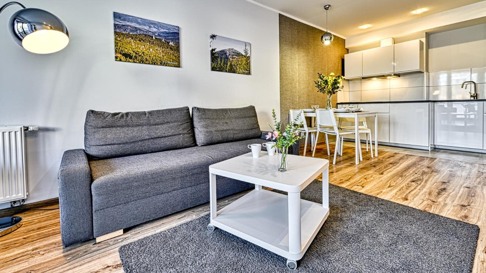 Triventi Mountain Residence By Royal Aparts Karpacz Buitenkant foto